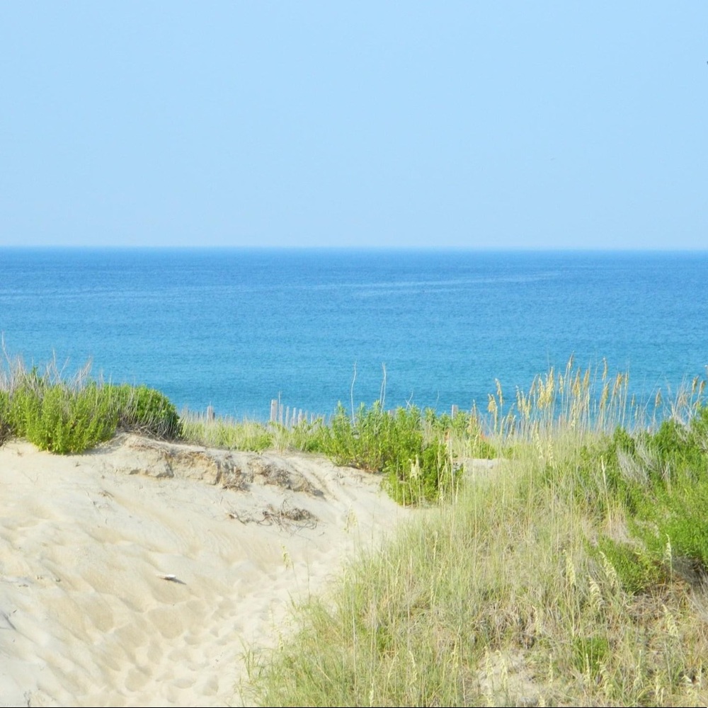 Meet your Posher, Shari